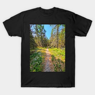 Hiking Trail T-Shirt